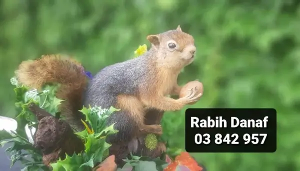 Lebanese Taxidermy Art