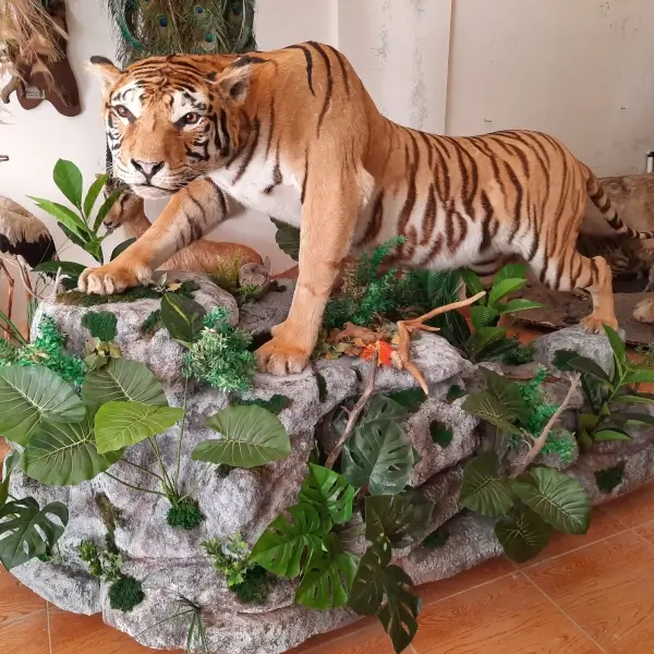 Lebanese Taxidermy Art