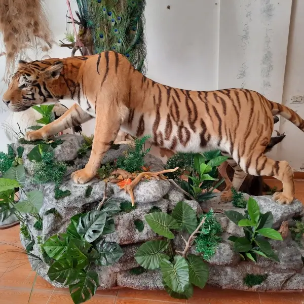 Lebanese Taxidermy Art