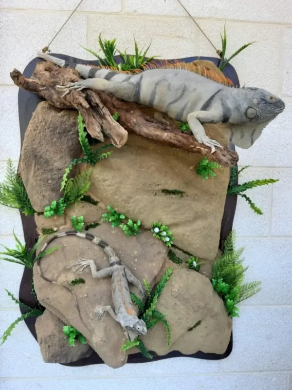 Mammals and Reptiles
