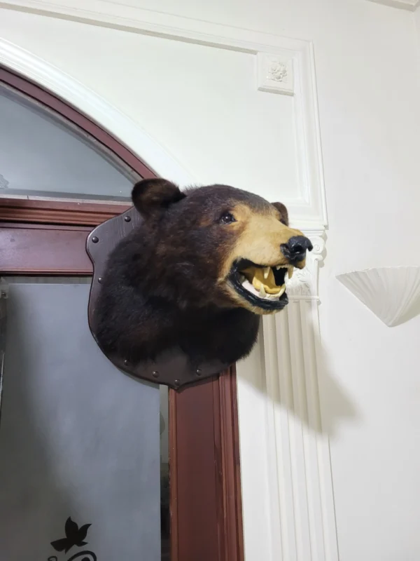 lebanese taxidermy art Black bear