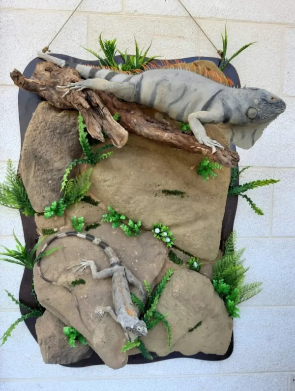 iguana taxidermy art